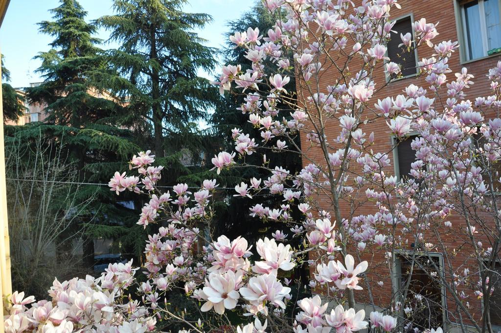 B&B Villa Marsa Bologna Exteriör bild
